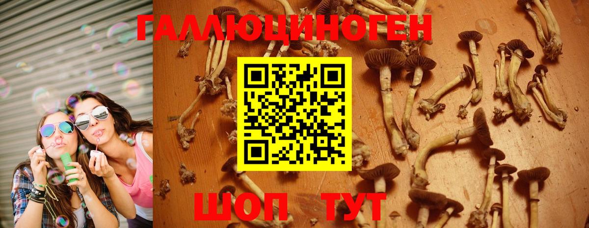 Псилоцибиновые грибы Magic Shrooms Санкт-Петербург