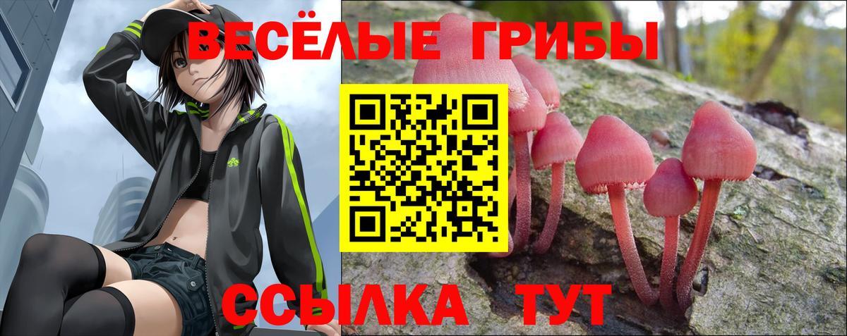 Галлюциногенные грибы мухоморы  Вход с VPN  Санкт-Петербург  Псилоцибиновые грибы GOLDEN TEACHER 